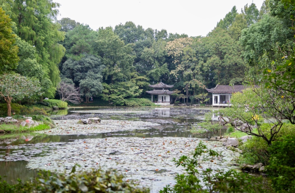 Ej, 央广网记者, 希望借助苏 Ej, 央广网记者, 希望借助苏