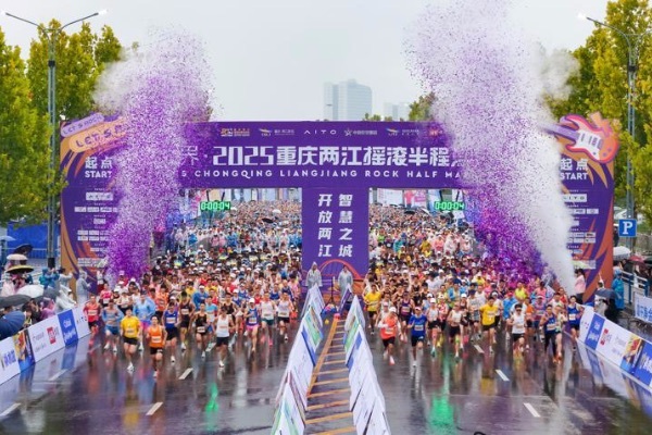 img, tenan, 发展之路