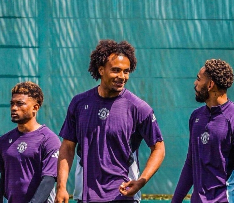 CDd, 阿莫林对此, 齐尔克泽的 CDd, 阿莫林对此, 齐尔克泽的